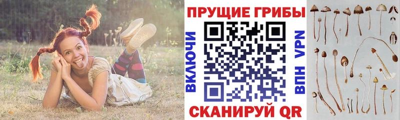 Галлюциногенные грибы мухоморы Воткинск